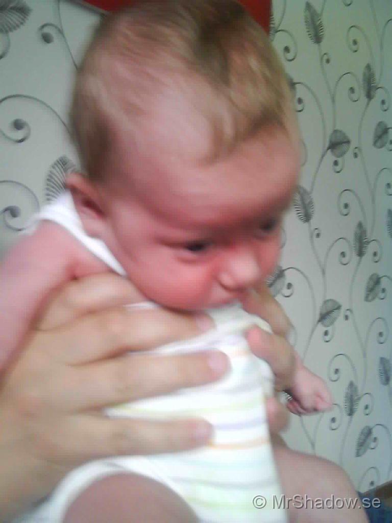 Foto 0071.jpg